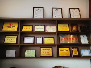 中越股份 企业一站式服务专家，引领计算机信息化时代