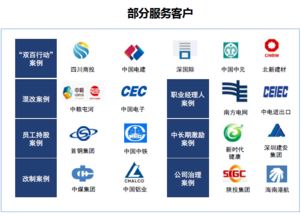 双百行动咨询服务产品手册 赋能国企改革，驱动价值提升